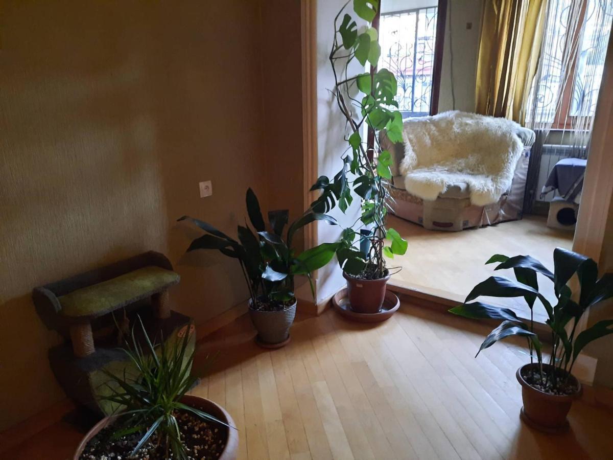 Tbilisi Philharmonia Apartment Bagian luar foto